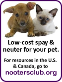 nooters-low-cost-spay-neuter
